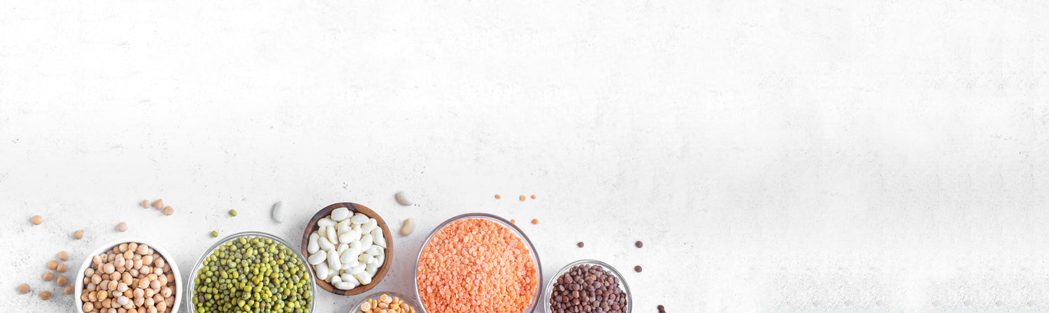 OUR SNACK PRODUCTS intelligence overview